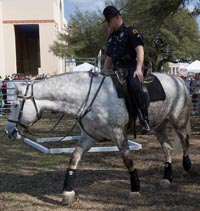 Dallas Police Mounted Unit